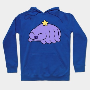 Star Waterbear Hoodie